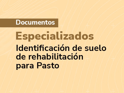 Resultados identificaci&oacute;n de suelo - revitalizaci&oacute;n Pasto